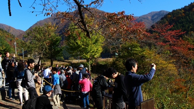 白川郷合掌造り 白川郷合掌造り