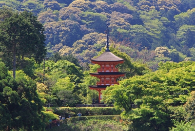 世界遺産清水寺 世界遺産清水寺