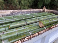 竹採り