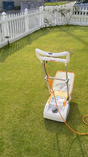 サッチ除去 サッチ除去