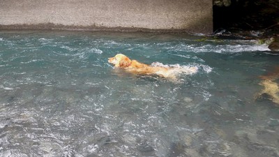 春野 長命水 春野 長命水