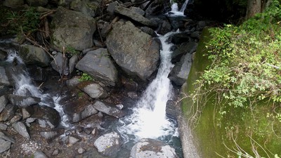 春野 長命水 春野 長命水