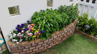 庭メンテ 庭メンテ