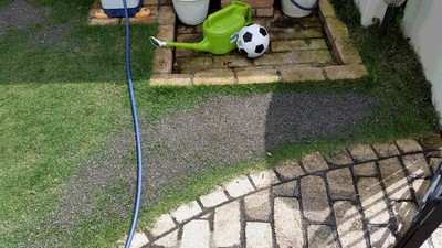 庭メンテ 庭メンテ