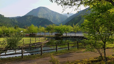 南アルプス井川オートキャンプ場 南アルプス井川オートキャンプ場