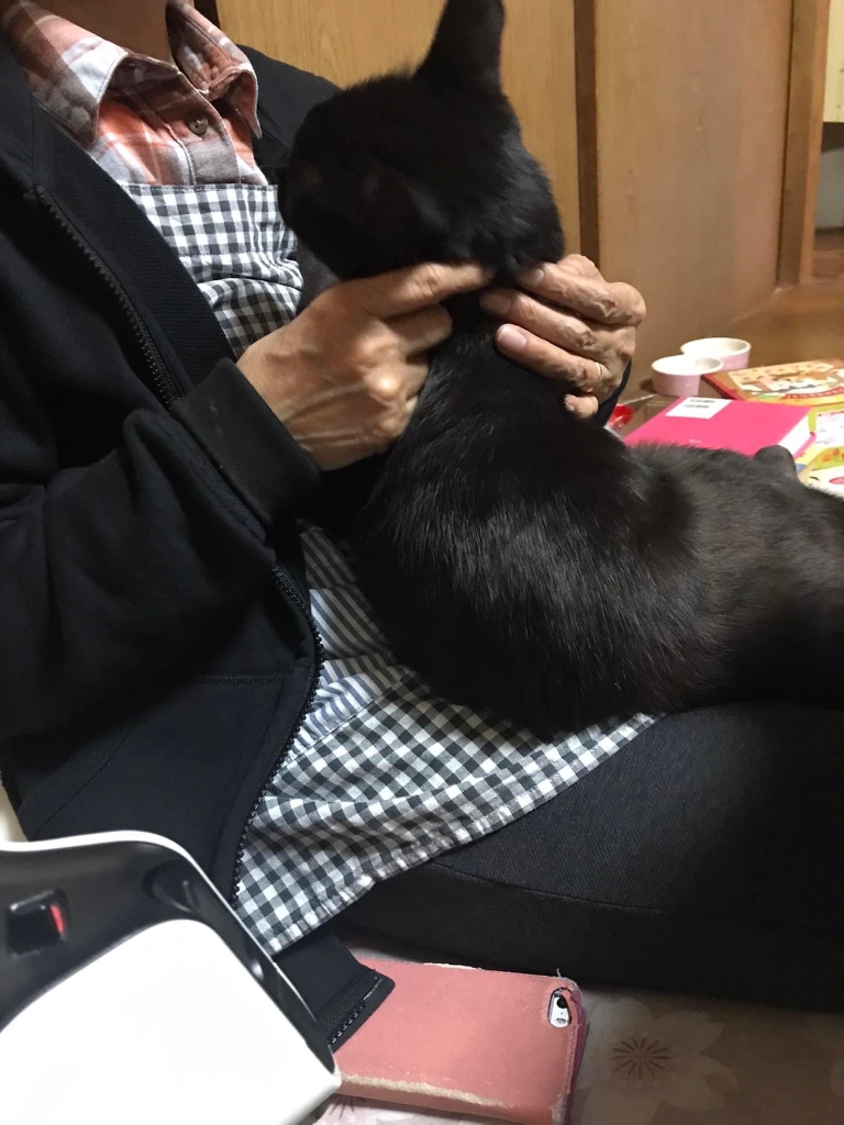 ゴロさん ゴロさん