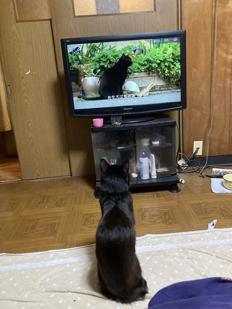 ゴロさん ゴロさん