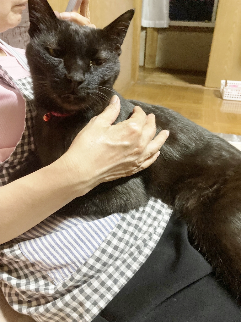 ゴロさん ゴロさん