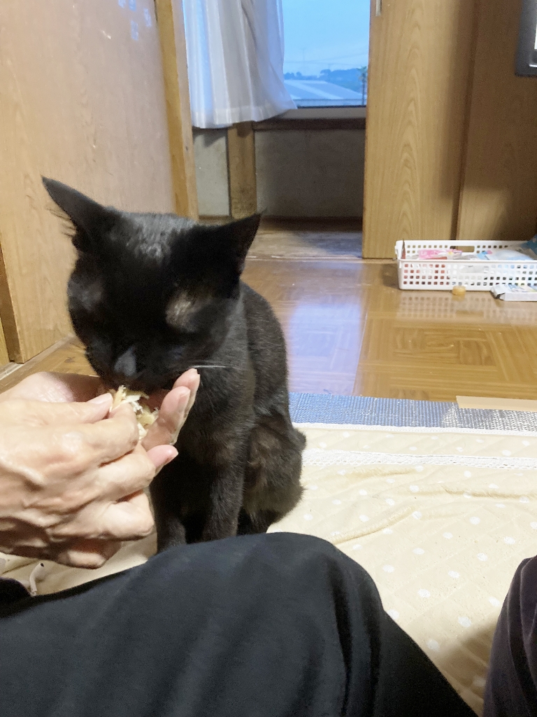 ゴロさん ゴロさん