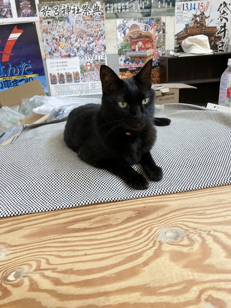ゴロさん ゴロさん