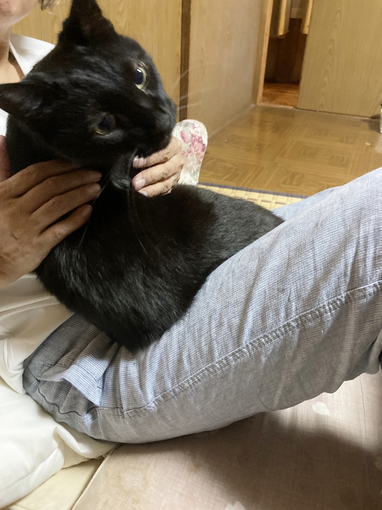 ゴロさん ゴロさん