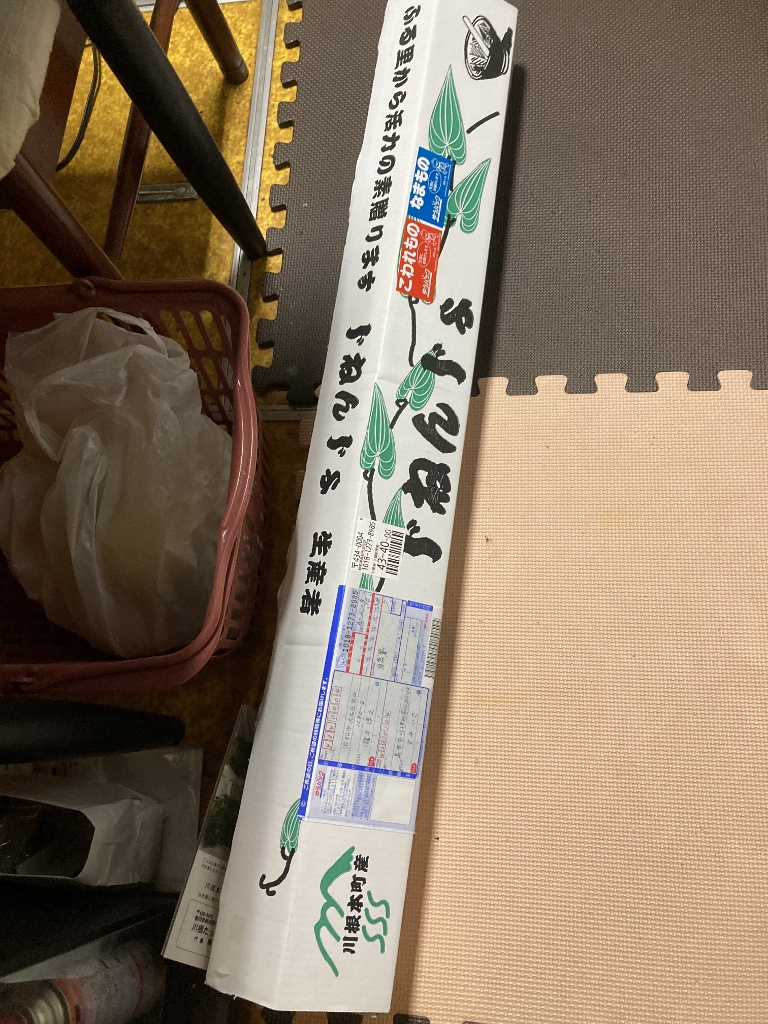 自然薯 自然薯