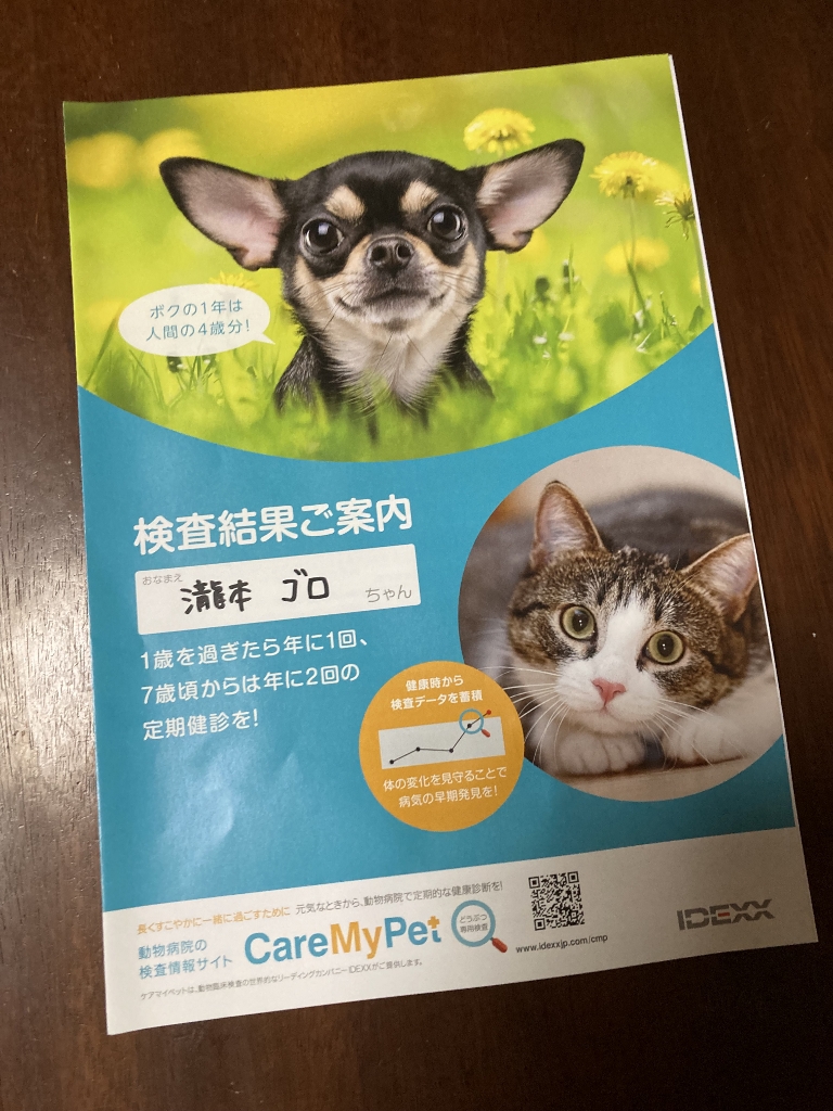 ゴロさん ゴロさん