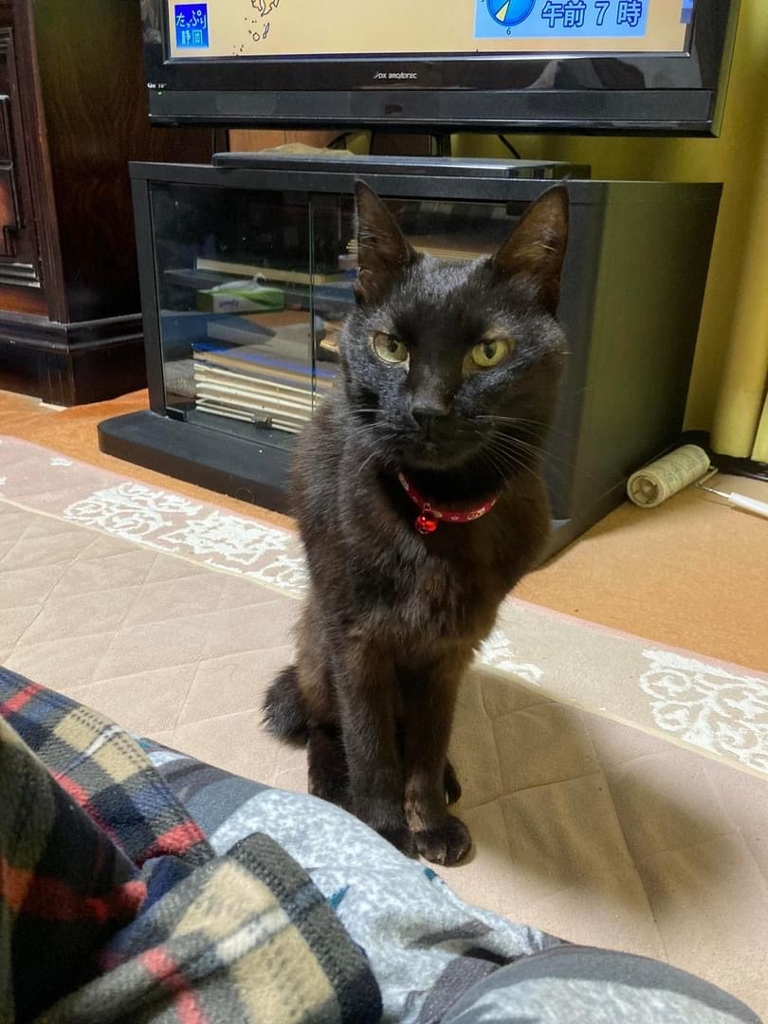 ゴロさん ゴロさん