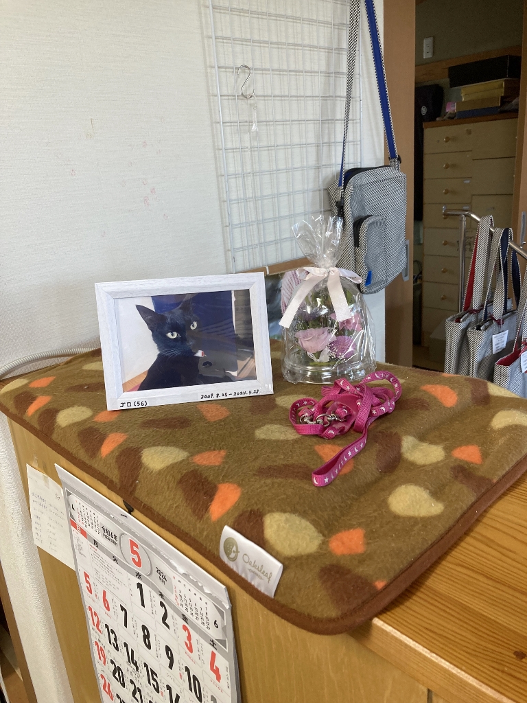 ゴロさん ゴロさん