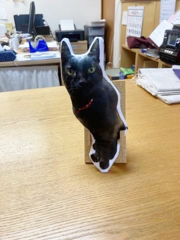 ゴロさん ゴロさん