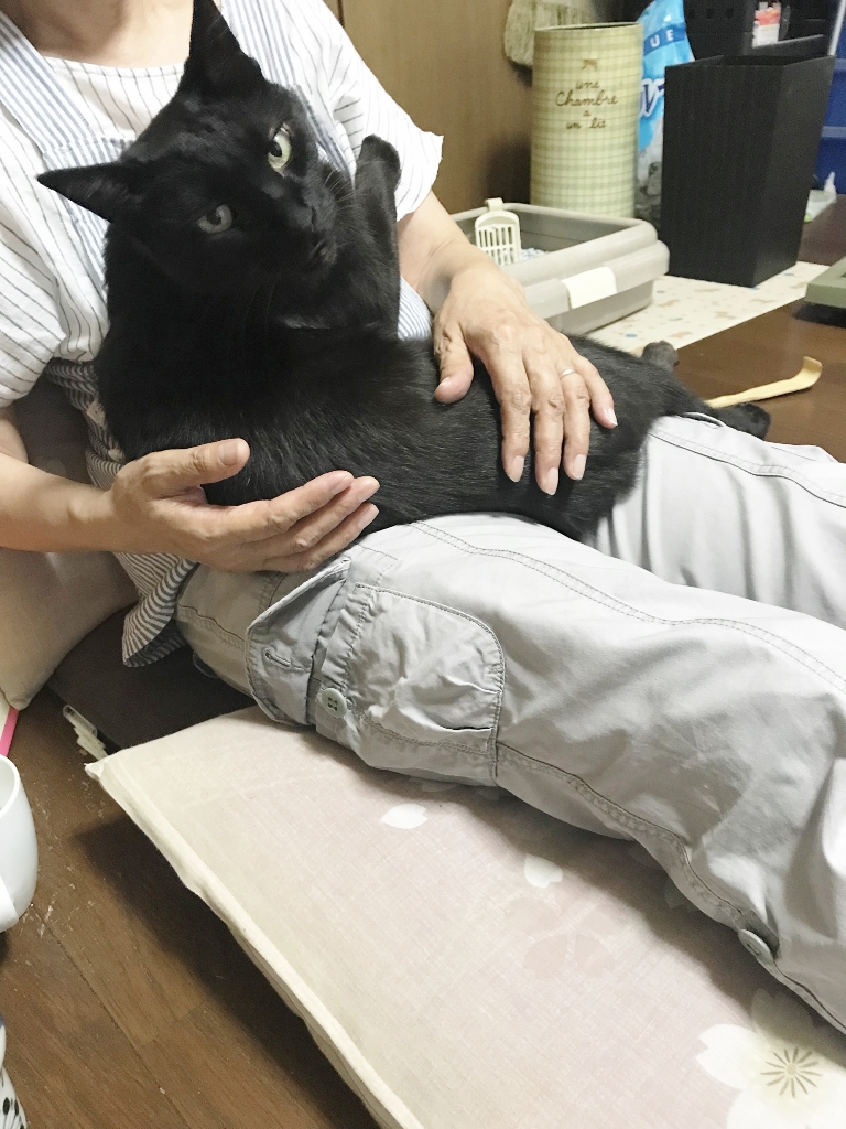 ゴロさん ゴロさん