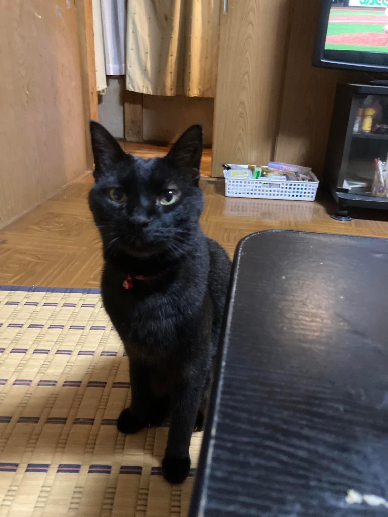 ゴロさん ゴロさん