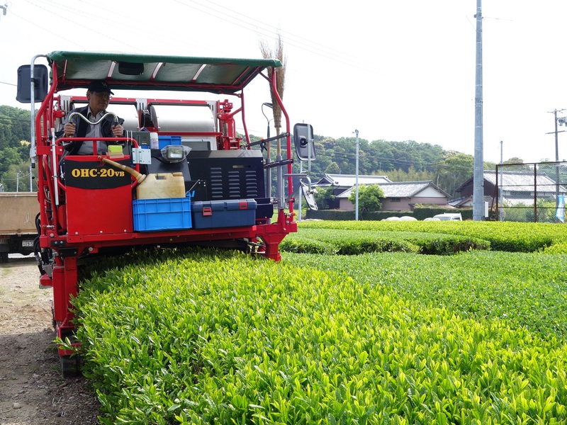 アジア留学生たちと『荻原製茶』に工場見学してきました！