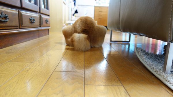 リフォーム終わりました。 リフォーム終わりました。