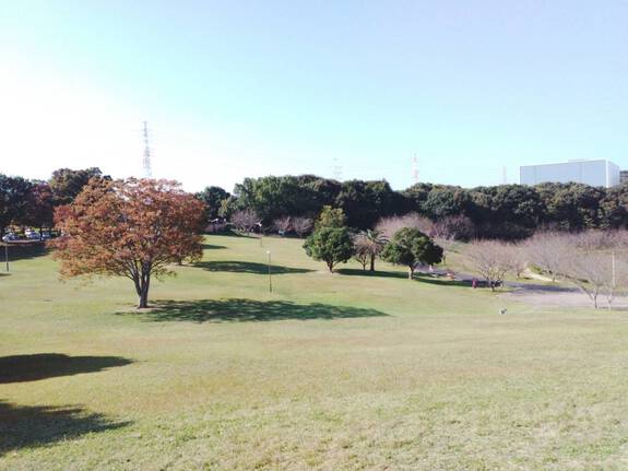 都田総合公園にも秋の訪れ