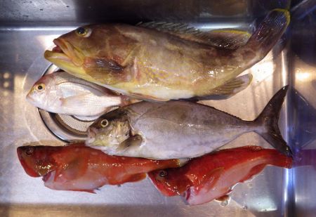 9月15日の獲物。 9月15日の獲物。
