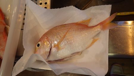 9月15日の獲物。 9月15日の獲物。