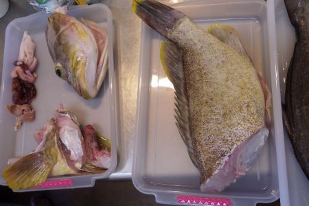 9月15日の獲物。 9月15日の獲物。