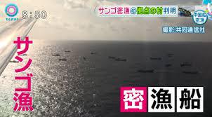 赤珊瑚 密漁 中国 支那 シナ 漁船 珊瑚 CHINA もし浜名湖に、竜洋海岸に、御前崎に、こんなのいたらどうするの?