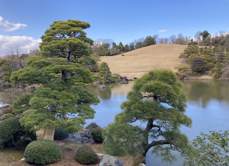 太陽の塔で気合いを入れろ! 太陽の塔で気合いを入れろ!