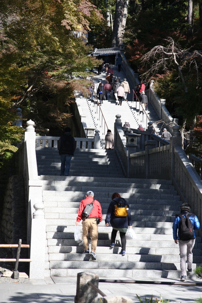 法多山もみじまつり 法多山もみじまつり