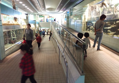 赤塚山公園 ぎよぎょランド 赤塚山公園 ぎよぎょランド