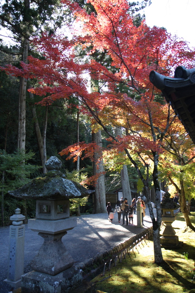 法多山もみじまつり 法多山もみじまつり