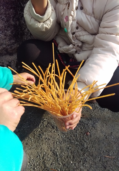 豊川稲荷へ初詣 豊川稲荷へ初詣