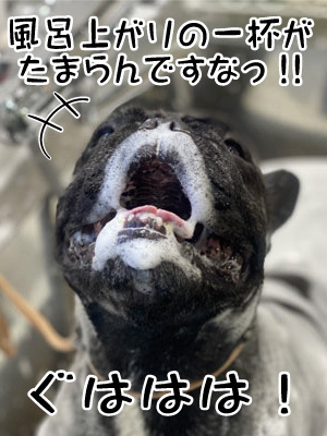 ぐりちゃん☺ ぐりちゃん☺