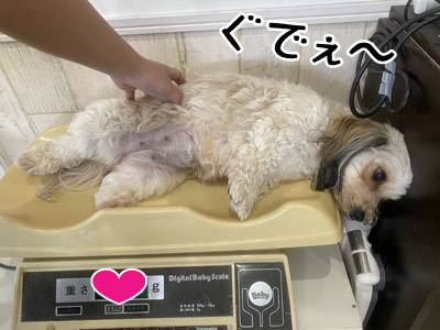 そらちゃん☺ そらちゃん☺