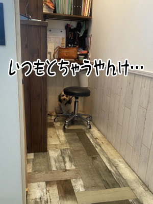 そらちゃん☺ そらちゃん☺