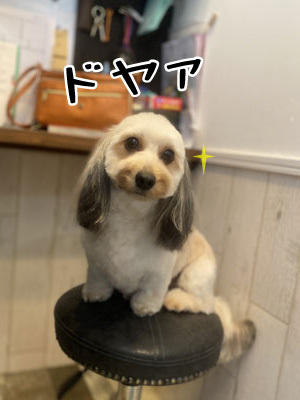 そらちゃん☺ そらちゃん☺
