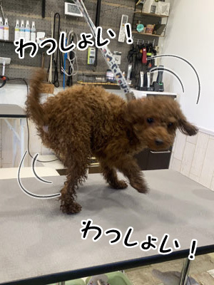 さくらちゃん☺ さくらちゃん☺