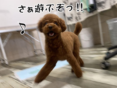 さくらちゃん☺ さくらちゃん☺