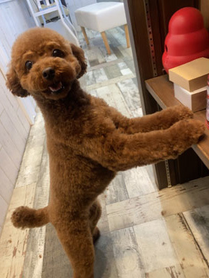 さくらちゃん☺ さくらちゃん☺