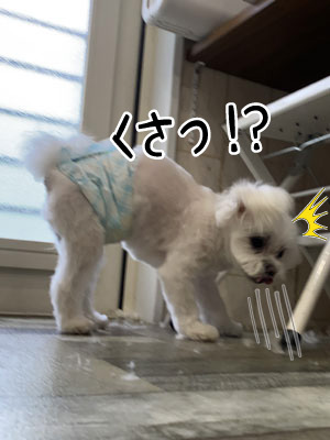 COCO君☺ COCO君☺