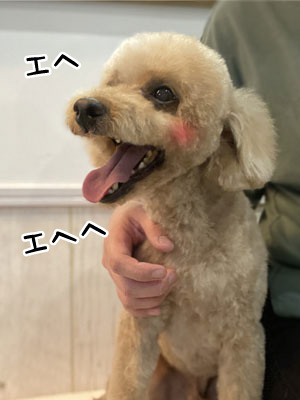 モカ君☺ モカ君☺