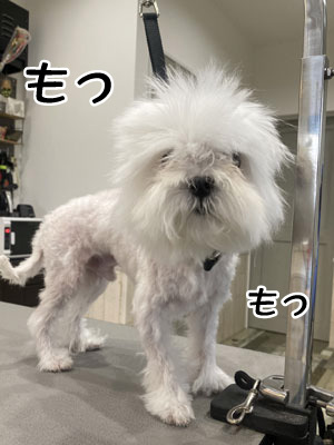 くー君☺ くー君☺