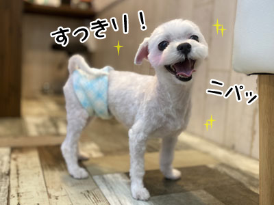 くー君☺ くー君☺