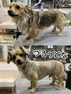 海君☺ 海君☺