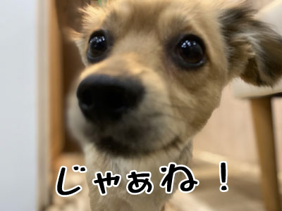 海君☺ 海君☺