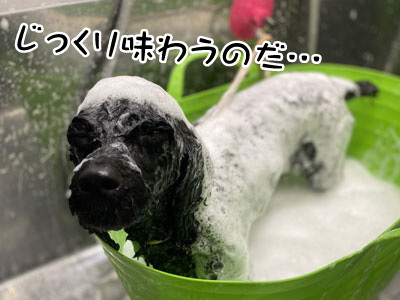 ラム・レーズン君☺ ラム・レーズン君☺