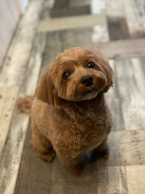 るるちゃん☺ るるちゃん☺