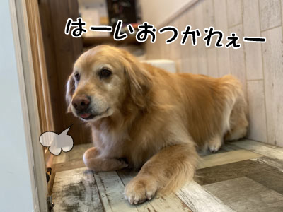パピちゃん☺ パピちゃん☺